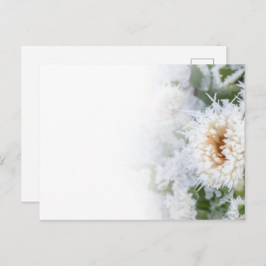 Daisy flower bevroren in wintersneeuw en ijs uitnodiging briefkaart (Voorkant / Achterkant)