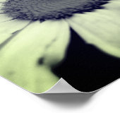 Daisy Flower Black en White Poster (Hoek)