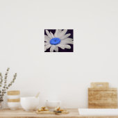 Daisy Flower Blue Center Raindrops Abstract Poster (Keuken)