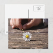 Daisy Flower Briefkaart (Voorkant / Achterkant)
