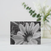 Daisy Flower Briefkaart (Staand voorkant)