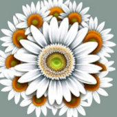 Daisy Flower Case-Mate iPhone Case