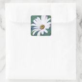 Daisy Flower en betekenis Vierkante Sticker (Tas)