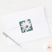 Daisy Flower en betekenis Vierkante Sticker (Envelop)