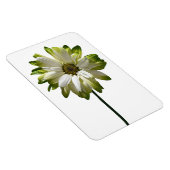 Daisy Flower fotomagneet Magneet (Rechterzijde)