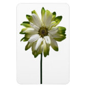 Daisy Flower fotomagneet Magneet (Verticaal)