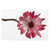 Daisy Flower fotomagneet Magneet (Horizontaal)