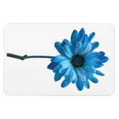 Daisy Flower fotomagneet Magneet (Horizontaal)