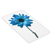 Daisy Flower fotomagneet Magneet (Rechterzijde)