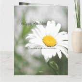 Daisy Flower in full-bloom Kaart (Achterkant)