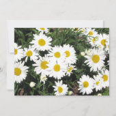 Daisy Flower Invitation Kaart (Voorkant)