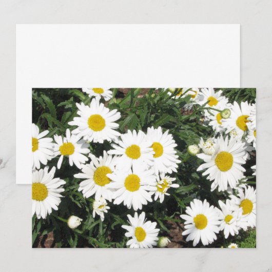 Daisy Flower Invitation Kaart (Voorkant / Achterkant)