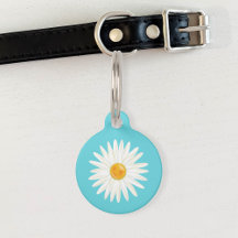Daisy Flower is geïllustreerd op blauw met Pet-inf