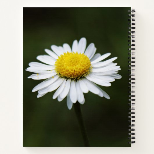 Daisy Flower Large Journal Personalized Notitieboe Notitieboek (Achterkant)