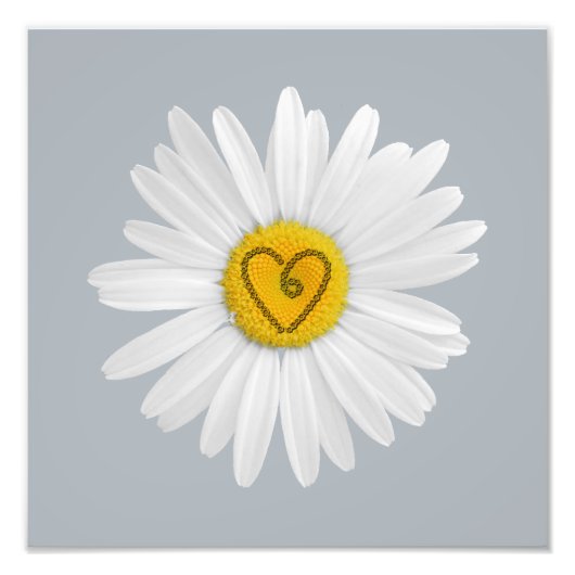 Daisy Flower Love Art past achtergrond aan Foto Afdruk (Voorkant)
