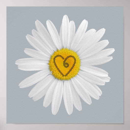 Daisy Flower Love Art past achtergrond aan Poster (Voorkant)