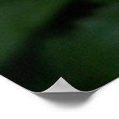 Daisy Flower opengaat Poster (Hoek)