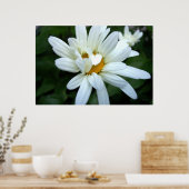 Daisy Flower opengaat Poster (Keuken)