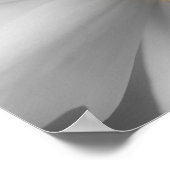 Daisy Flower Petals gedeeltelijke kleur Poster (Hoek)