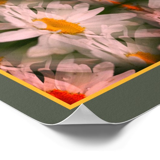 Daisy Flower Petals Vermenigvuldigd Abstract Poster (Hoek)