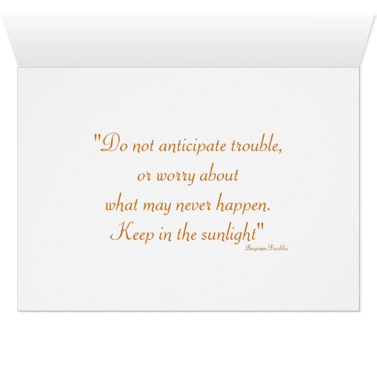 Daisy Flower PHotography (Binenzijde Horizontaal (Onderkant))