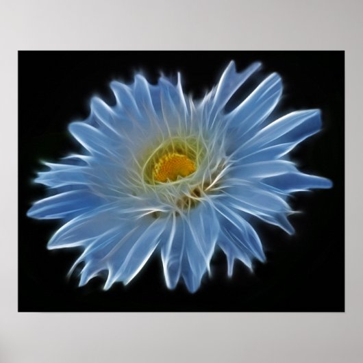 Daisy Flower Poster (Voorkant)