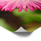 Daisy Flower - Poster (Hoek)