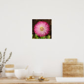 Daisy Flower - Poster (Keuken)