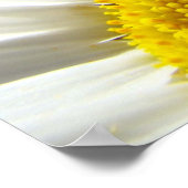 Daisy Flower poster Blue Sky Floral Feestdagen (Hoek)