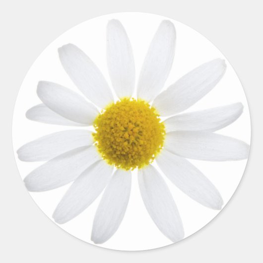 Daisy flower ronde sticker (Voorkant)