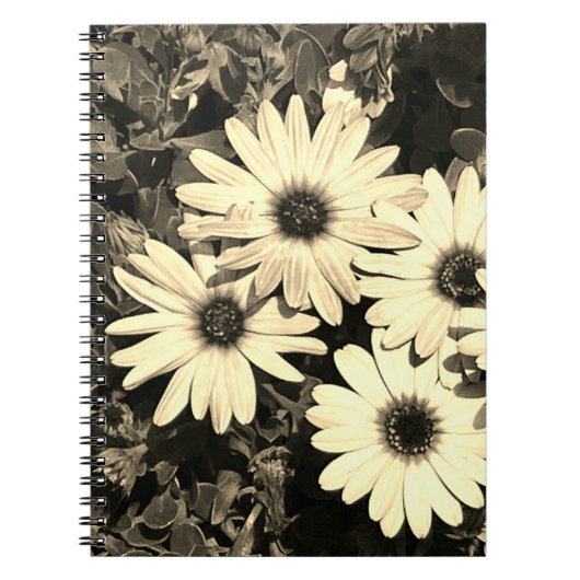 Daisy Flower Sepia-Notitieboek Notitieboek (Voorkant)