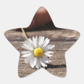 Daisy Flower Ster Sticker (Voorkant)