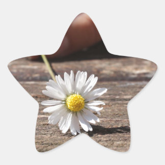 Daisy Flower Ster Sticker