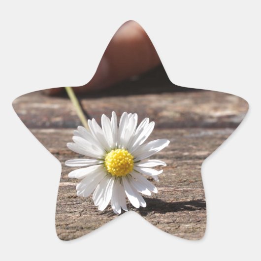Daisy Flower Ster Sticker (Voorkant)