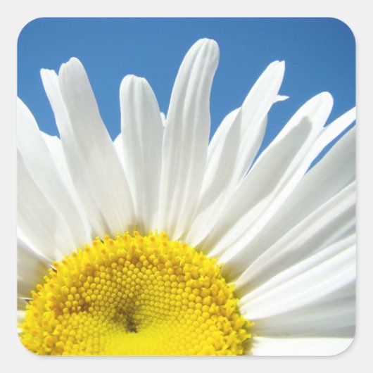Daisy Flower Stickers custom Jouw tekst toevoegen (Voorkant)