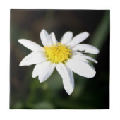 Daisy Flower Tile Tegeltje (Voorkant)