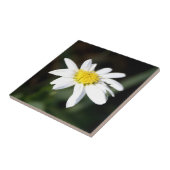 Daisy Flower Tile Tegeltje (Zijkant)