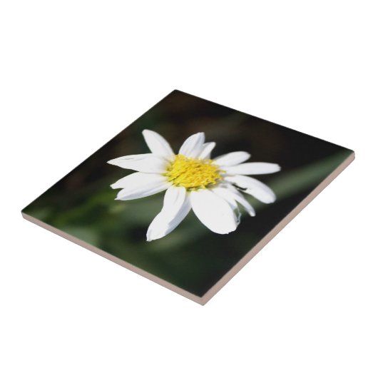 Daisy Flower Tile Tegeltje (Zijkant)