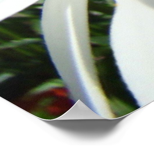 Daisy Flowers art prints White Daisies Blue Sky (Hoek)