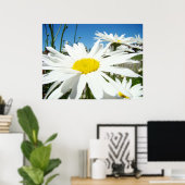 Daisy Flowers art prints White Daisies Blue Sky (Thuiskantoor)