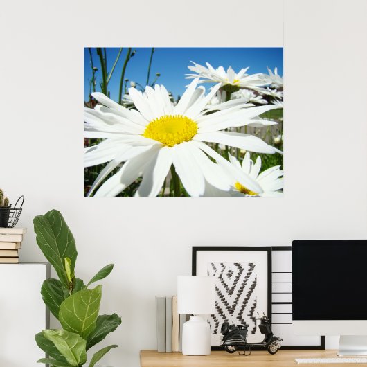 Daisy Flowers art prints White Daisies Blue Sky (Thuiskantoor)