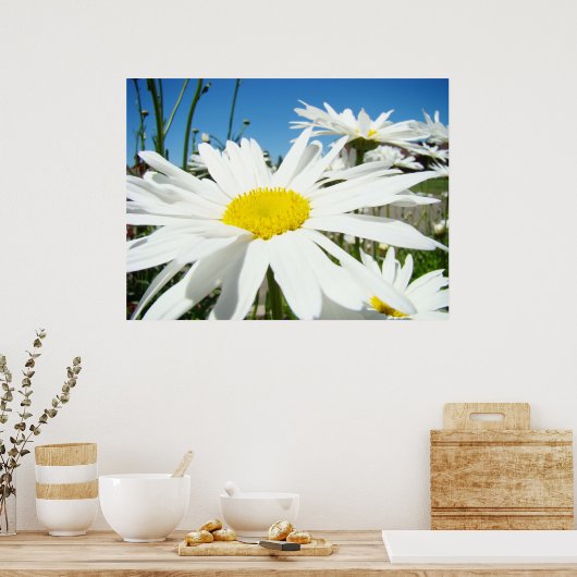 Daisy Flowers art prints White Daisies Blue Sky (Keuken)