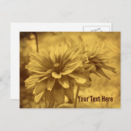  Daisy Flowers  Briefkaart (Voorkant / Achterkant)