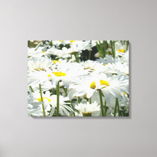 Daisy Flowers Decorative art Canvas Fotografie