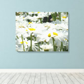 Daisy Flowers Decorative art Canvas Fotografie Afdruk (Insitu (Houten vloer))