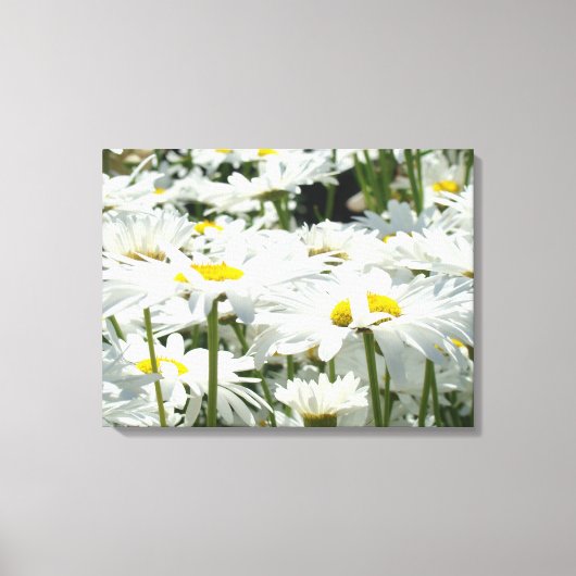 Daisy Flowers Decorative art Canvas Fotografie Afdruk (Voorkant)