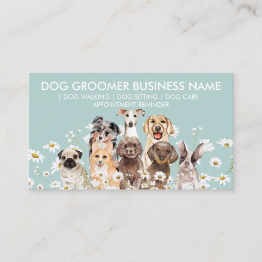 Daisy Flowers Dog Groom Sitter Walker Appointment Visitekaartje (Voorkant)