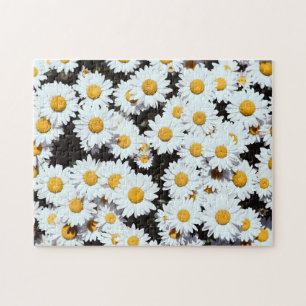 Daisy Flowers Floral Bloom Natuur Legpuzzel