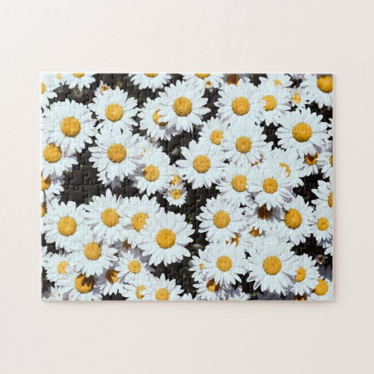 Daisy Flowers Floral Bloom Natuur Legpuzzel (Horizontaal)