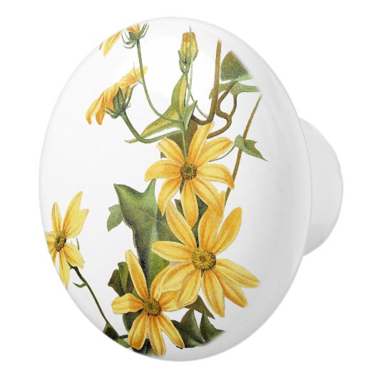  Daisy Flowers Floral Wildflower Knob Keramische Knop (Rechts)